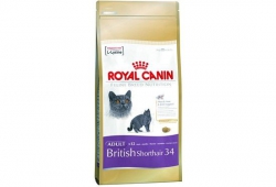 Фото1.Сухий корм для котів Royal Canin British Shorthair 34, 10 кг