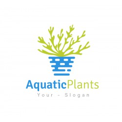 Aquatic Plants