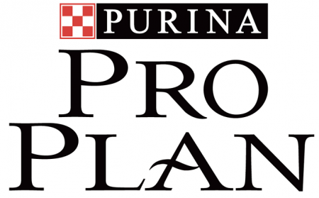 Pro Plan