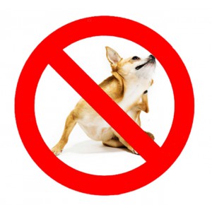 Засоби проти паразитів