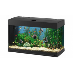 Акваріумістика