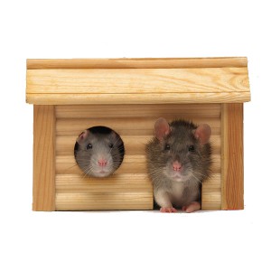 Аксесуари для кліток