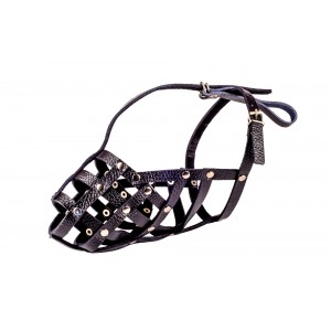 Намордники