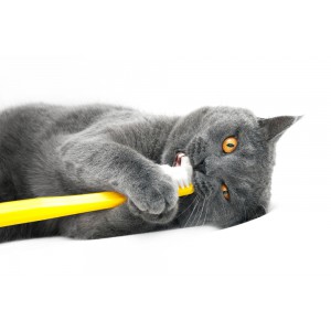 Гігієна та догляд