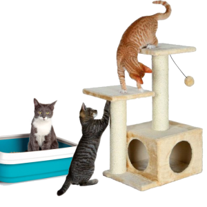 Обладнання для дому