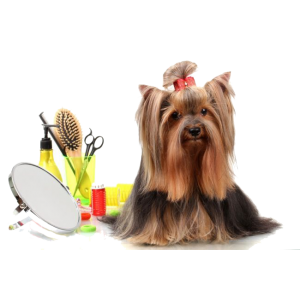 Догляд за шерстю та кігтями