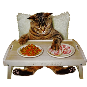 Харчування