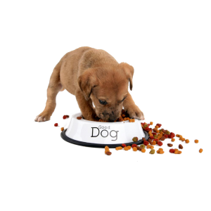 Харчування