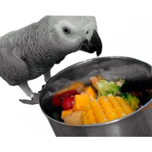 Харчування