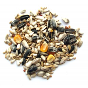 Корм для птахів