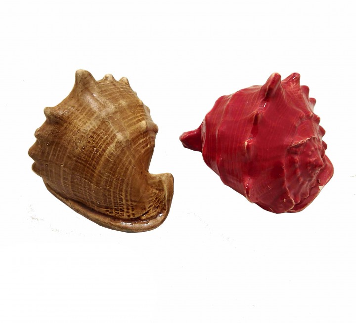 Рапана мала