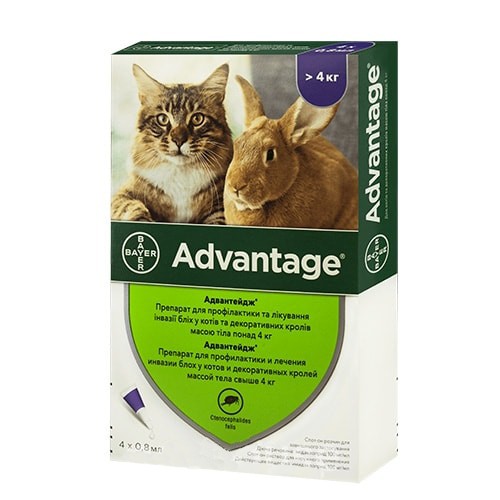 Advantage для котів і кроликів від 4 кг
