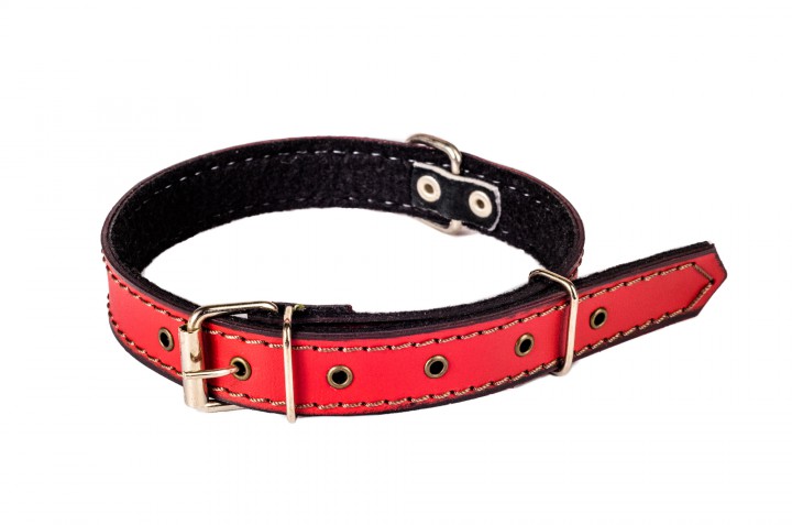 Нашийник шкіряний, 20 мм/40-50 см