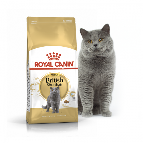Сухий корм для котів Royal Canin British Shorthair 34, 10 кг