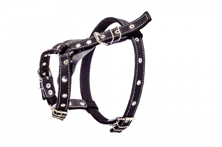 Нагрудник брезент + шкіра тяговий, 30 мм/80-90 см