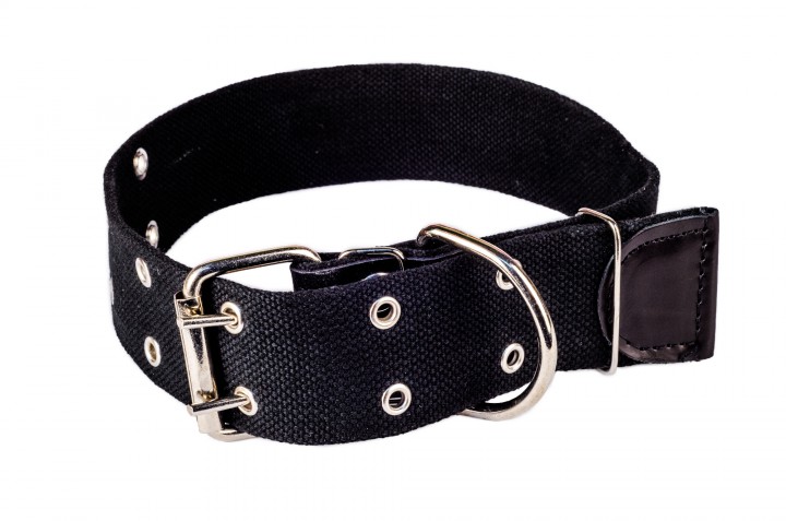 Нашийник брезент, 45 мм/75-80 см