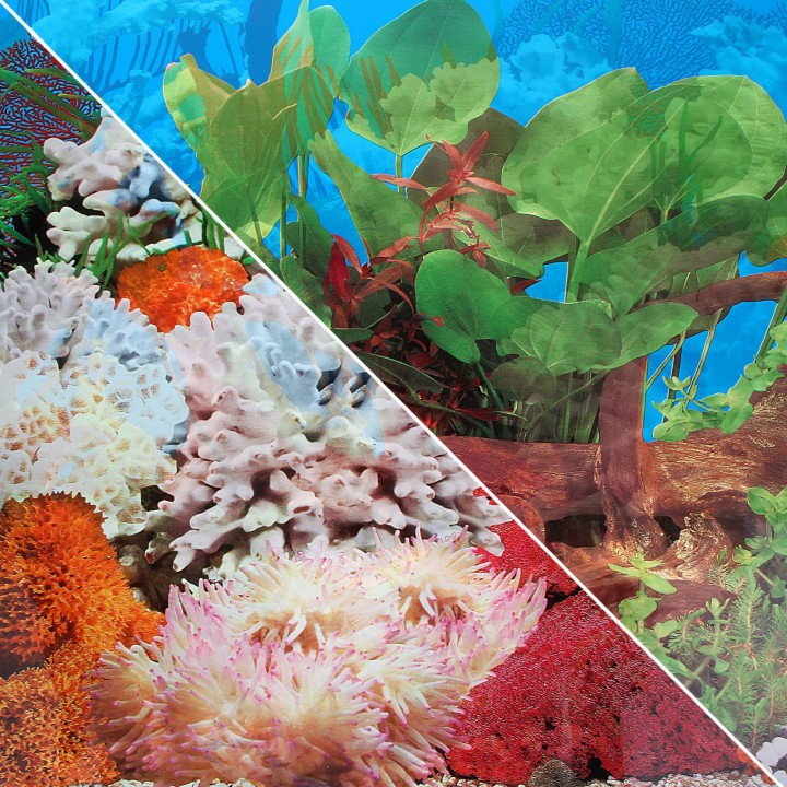 Фон двосторонній, 30 см