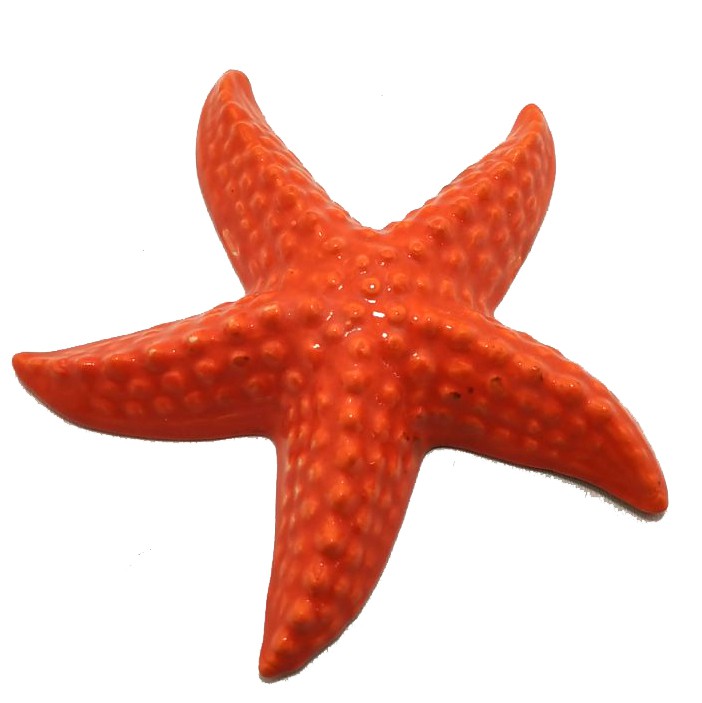 Зірка велика