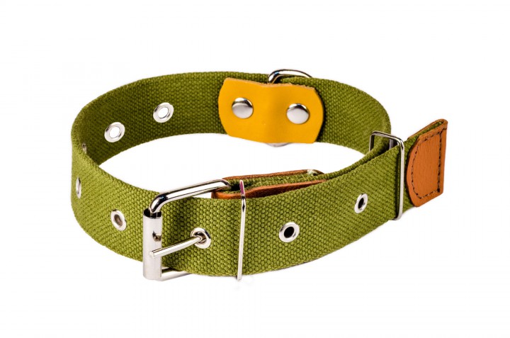 Нашийник брезент безрозмірний, 20 мм/50 см