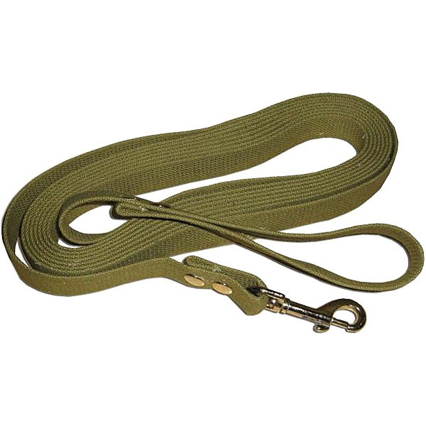 Поводок брезент, 25мм/3м