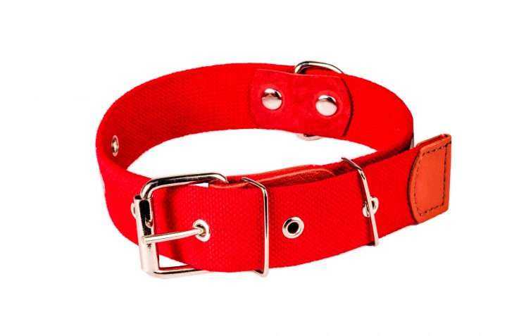 Нашийник брезент безрозмірний, 30 мм/65 см