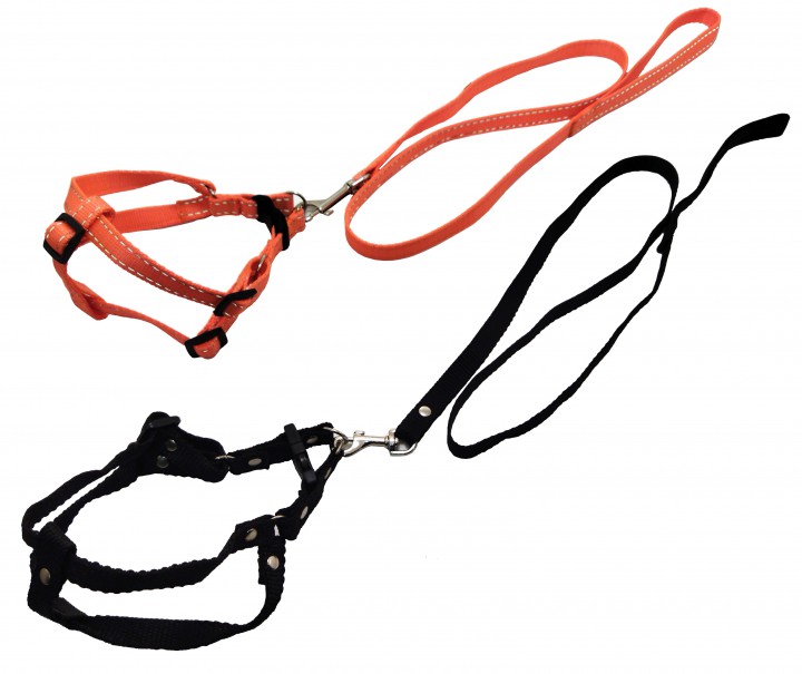 Комплект преміум шлея+поводок нейлон, 25 мм