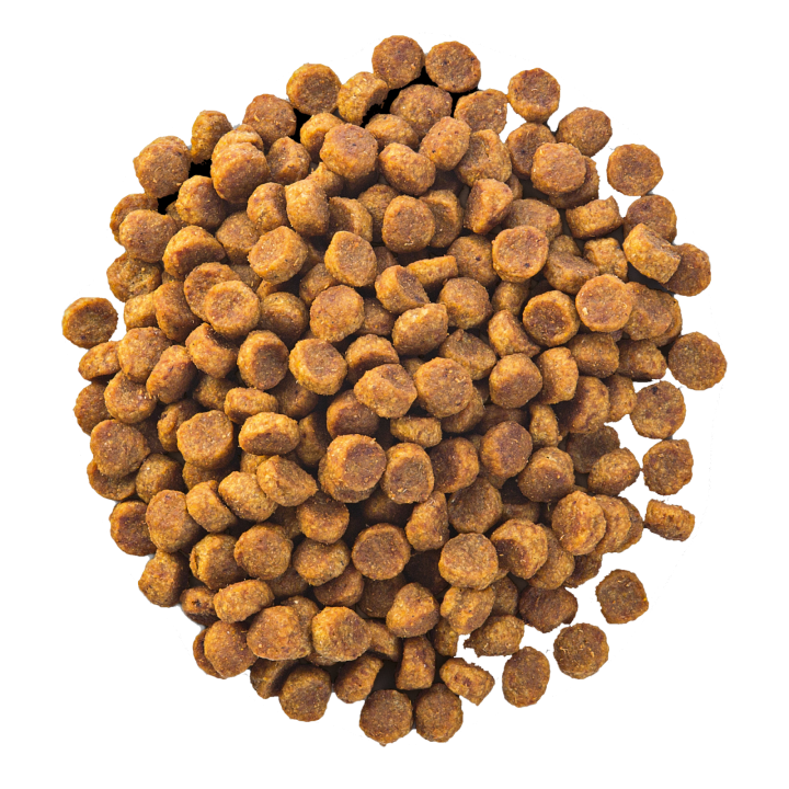 Хепі Кет Курка, 10кг