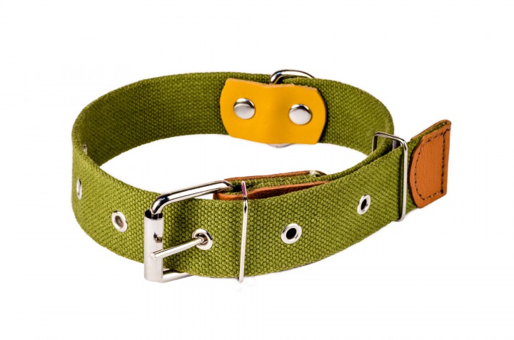 Нашийник брезент, 35мм/65-75 см