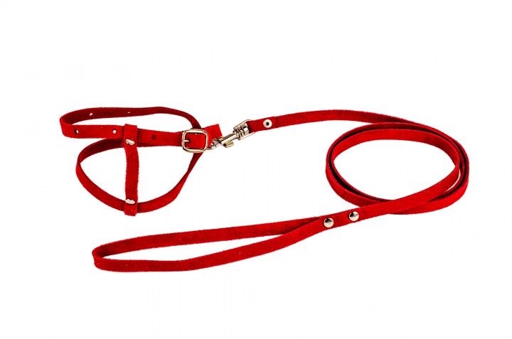 Комплект шкіра КОТ-12