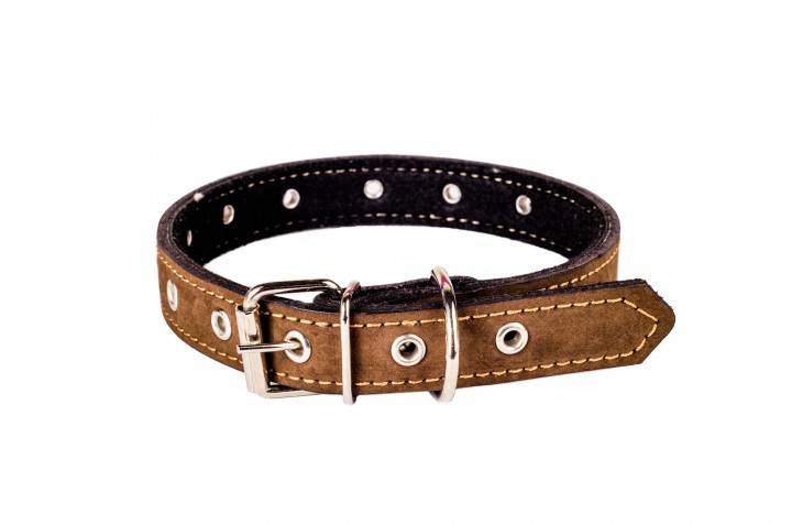Нашийник шкіра безрозмірний, 25 мм/60 см