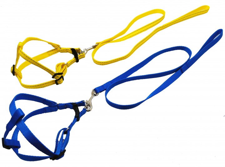 Комплект преміум  шлея+ поводок, 15мм
