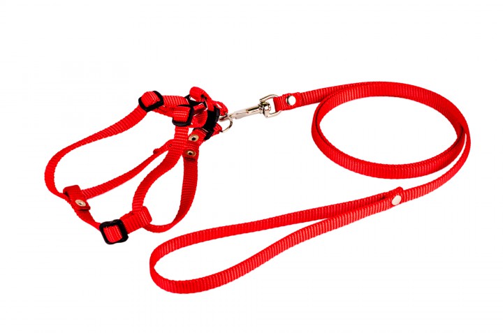 Комплект преміум шлея+ поводок, 20 мм