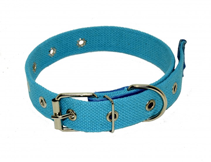Нашийник брезент безрозмірний, 25мм/60см