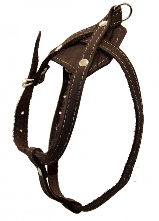 Нагрудник шкіра, 22 мм