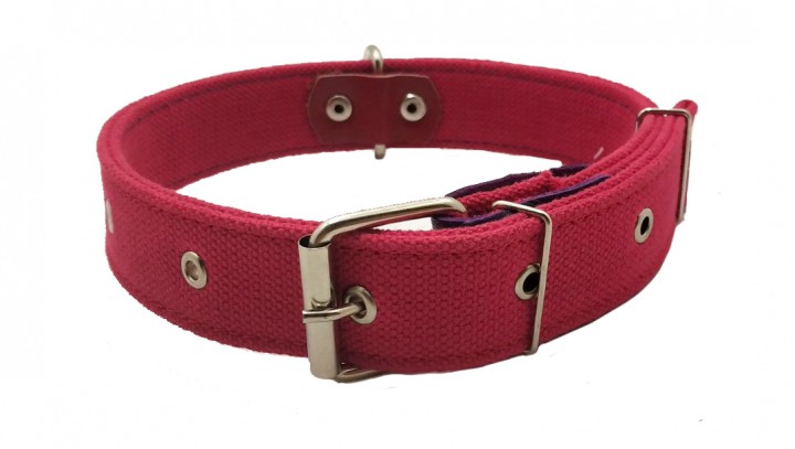 Нашийник брезент подвійний, 35 мм/65-75 см