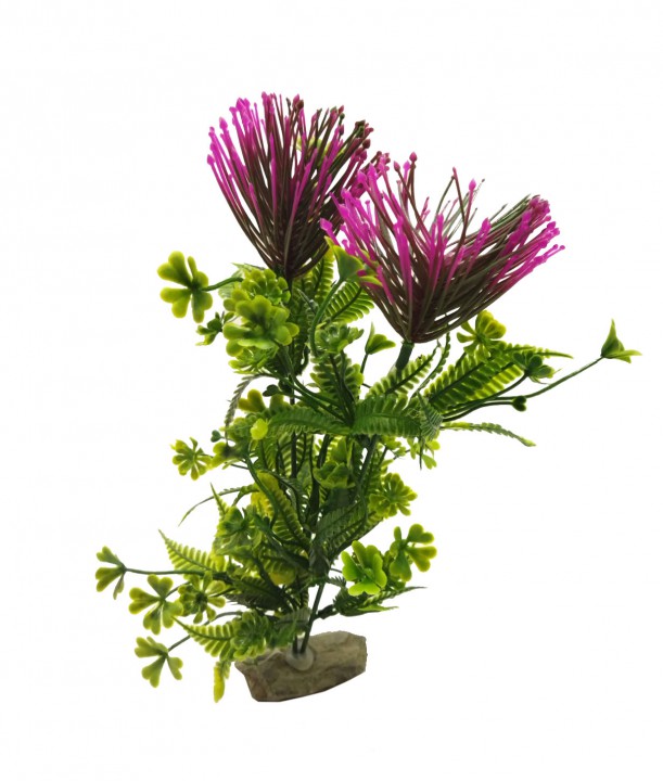 Рослина на камені №1, 20-30 см