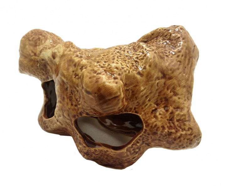 Камінь цихлідник великий