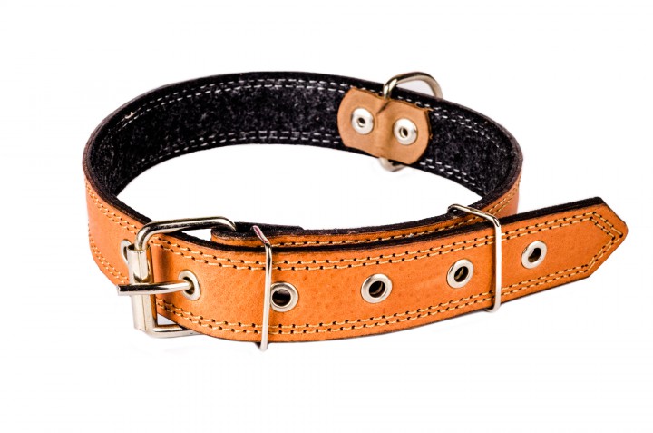 Нашийник шкіряний, 40 мм/70-75 см