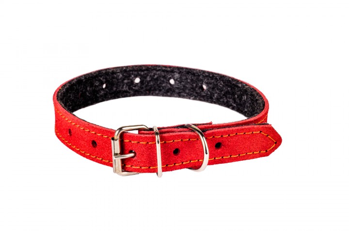 Нашийник шкіра безрозмірний, 35 мм/75 см