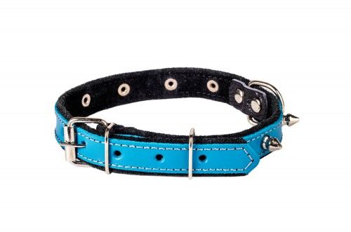 Нашийник шкіряний з шипами, 20мм/40-50см