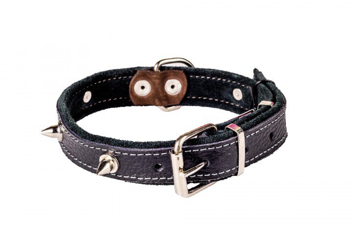 Нашийник шкіряний з шипами, 16 мм/35-40 см