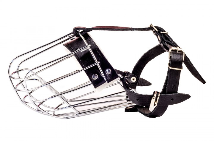 Намордник метал Лабрадор, Далматинець, Вівчарка