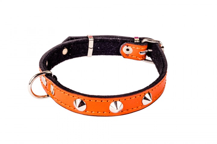 Нашийник шкіряний з прикрасами, 14 мм/30-38 см