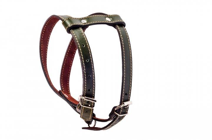 Шлея шкіряна, 20 мм