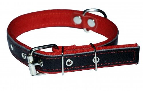 Нашийник шкіра+брезент, 40мм/42-58см