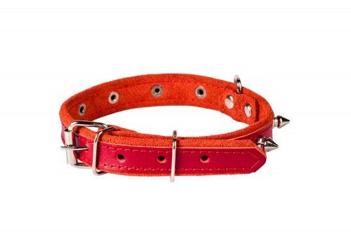 Нашийник шкіряний з шипами, 22мм/50-55см