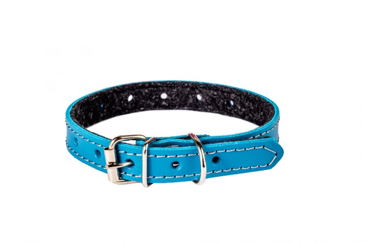 Нашийник шкіряний, 10 мм/24-30 см