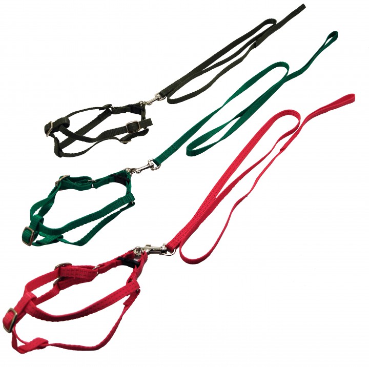 Комплект преміум  шлея+поводок, 10 мм
