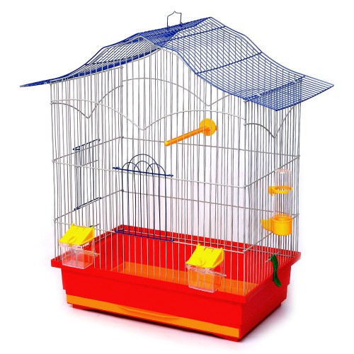 Клітка "ЛОРі"фарба