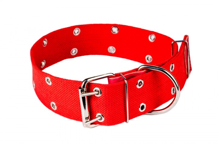 Нашийник брезент безрозмірний, 45мм/75-80см